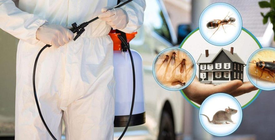 Turgutlu Böcek İlaçlama