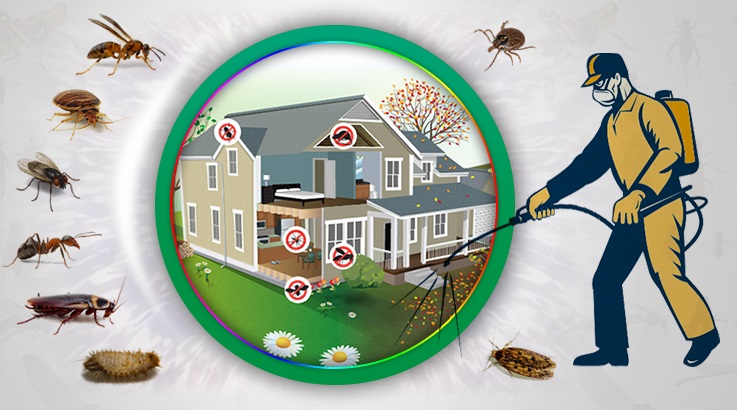 Turgutlu Böcek İlaçlama