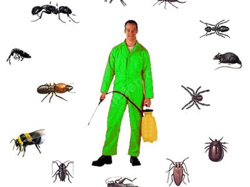 Turgutlu Böcek İlaçlama